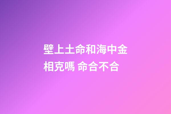 壁上土命和海中金相克嗎 命合不合